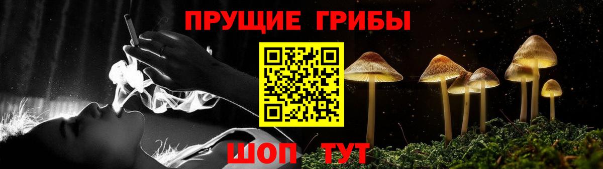 Нерюнгри  купить закладку  Вход с VPN  Галлюциногенные грибы Psilocybine cubensis 